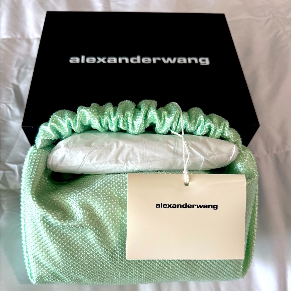 Alexander wang mini scrunchie bag in color bay never been used